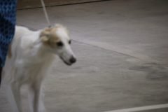 IMG_6899-1-scaled
