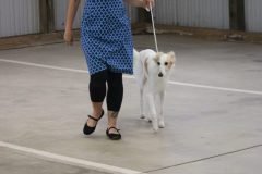 IMG_6913-1-scaled