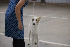 IMG_6916-1-scaled