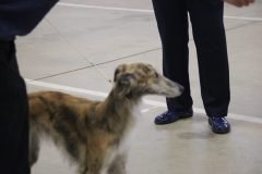 IMG_6925-1-scaled