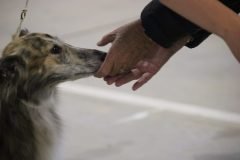 IMG_6928-1-scaled