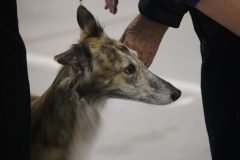 IMG_6929-1-scaled