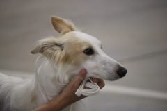 IMG_6971-2-scaled