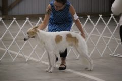 IMG_6987-1-scaled