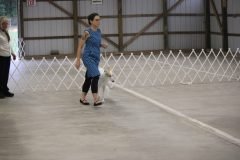 IMG_6996-1-scaled