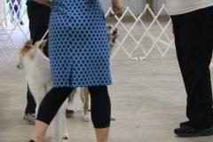 IMG_7082-1-scaled